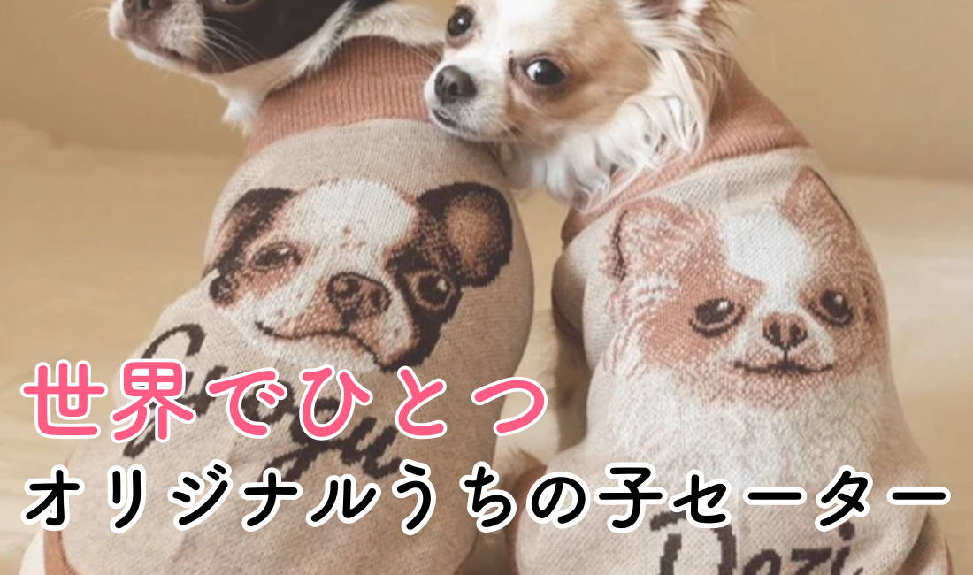既製品にはないオーダーメイドデザイン】オリジナルうちの子用ニット